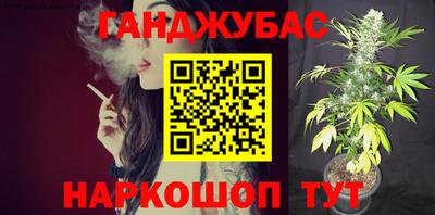 гашик Тайшет