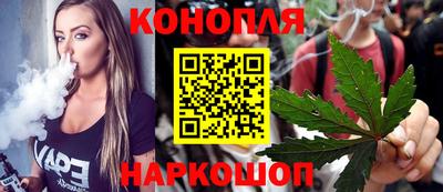 индика Тосно