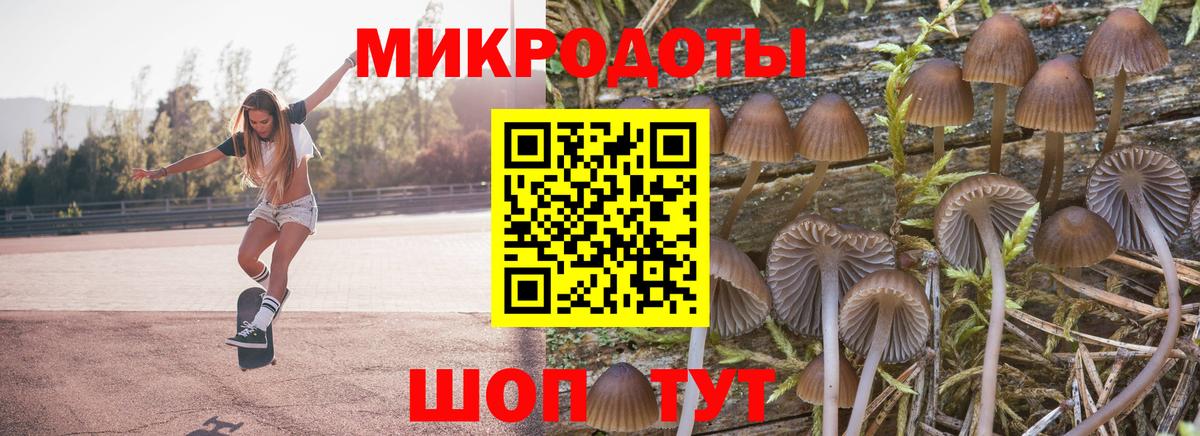 Галлюциногенные грибы Psilocybe  Вход с VPN  наркота  Азнакаево 