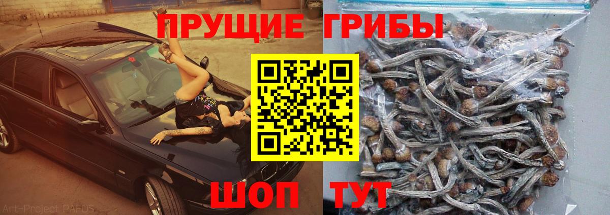 Галлюциногенные грибы Cubensis Азнакаево